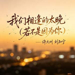 我们的相逢太晚（若不是因为你）