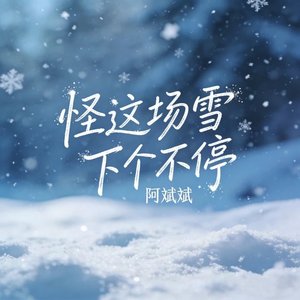 怪这场雪下个不停（翻自 张艺迈）