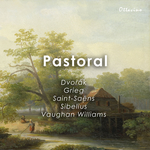 6 Etudes pour la main gauche seule, Op. 135: V. Elégie. Poco adagio