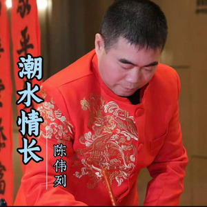 潮水情长(伴奏)
