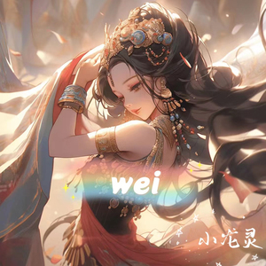 wei (正经版)