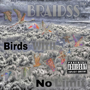 Birds With No Limit