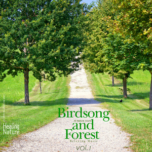 눈을 감고 들으면 힐링되는 자연의 소리