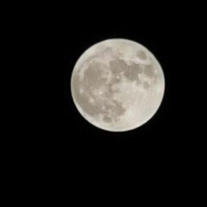 你什么时候回来