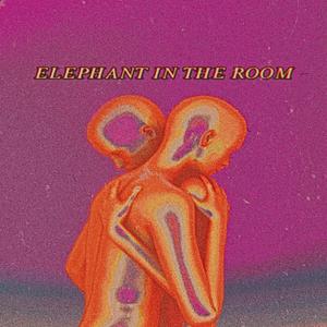 ELEPHANT IN THE ROOM