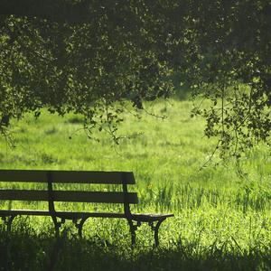 Quiet Hugging Morning