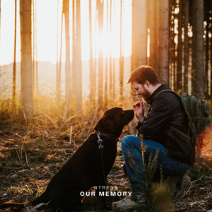 Our Memory