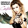 Orisha Sound - Love Rollercoaster