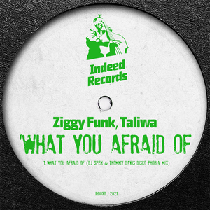 What You Afraid Of (Disco Phobia Mix)