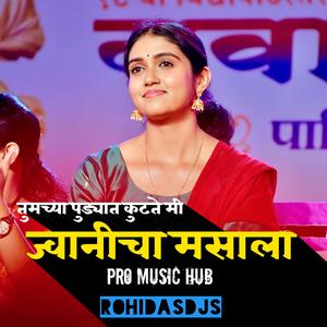 Tumchya Pudhyat Kutate Mi Jwanicha Masala (Marathi DJ Song) Dance Mix (feat. Pro Music Hub)