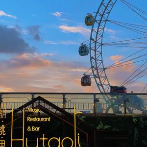 你是那么向往自由