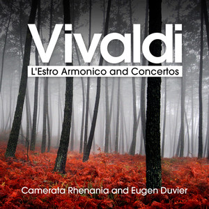 L'Estro Armonico, Op. 3 - Concerto No. 3 in G Major for Violin and Strings, RV 310: I. Allegro