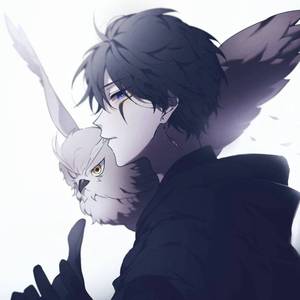 伤心太平洋（男声温柔版）