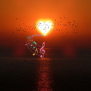 Serenade Under Starry Skies