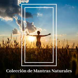 Pensamentos Equilibrados