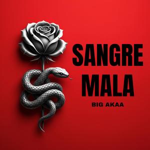 Sangre Mala