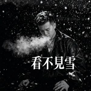 看不见雪