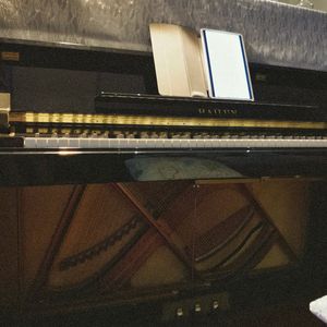 李玟-你留下的爱（钢琴）（低着头的怪咖 remix）