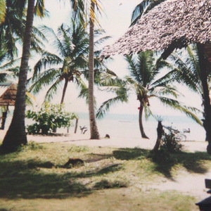 君を大好きになることは