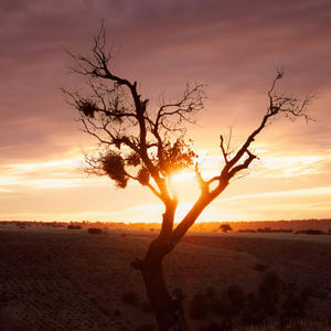 【FREE】"HOLD ME" ROD WAVE x TOOSII TYPE BEAT