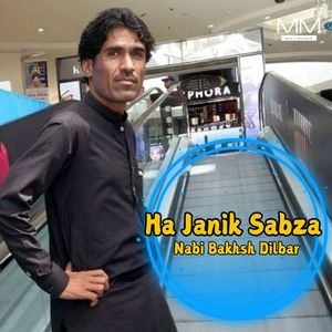 Ha Mani Taqdeera Nabu