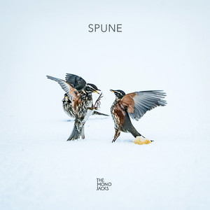 Spune