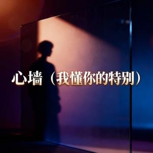 心墙（我懂你的特别）