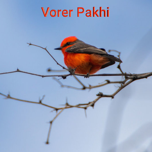 Probhu Tumi Anupam (Remix)