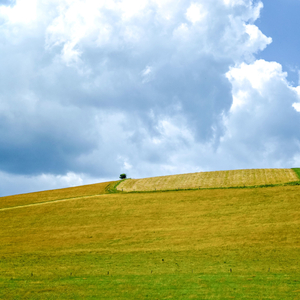Las Estrellas De Arriba
