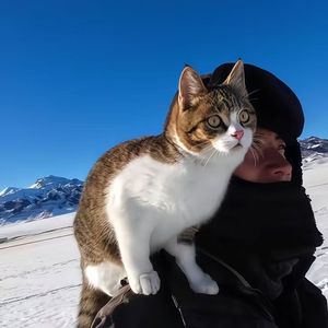 吾的空（悟空专属）