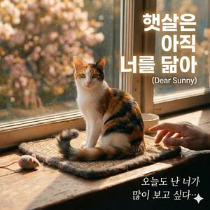햇살은 아직 너를 닮아(Dear sunny)