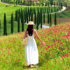 老妹儿啊老妹儿