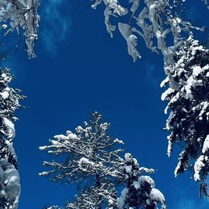 爱你没错（cover：张信哲）