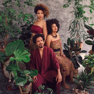 Batarsité - Jardin poème