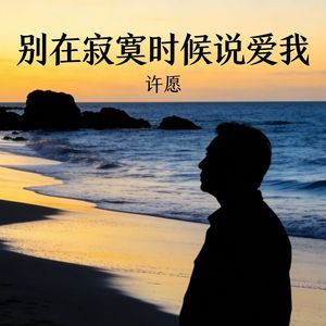 别在寂寞时候说爱我