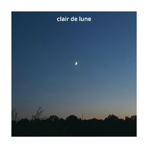 Suite bergamasque, L. 75: III. Clair de lune (Lofi)
