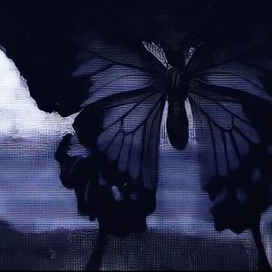 Lie0.8x