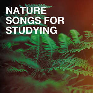 Sounds from the Sea 1: Sea Foam