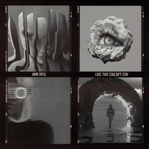 Love That Couldn't Stay