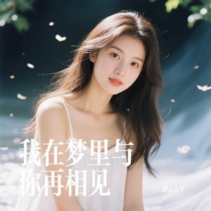 我在梦里与你再相见