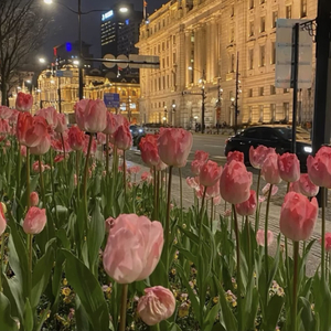 背着地球偷偷亲吻