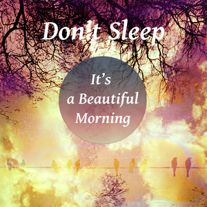 Violin Sonata No. 1 in G Minor, BWV 1001: II. Fuga (String Quartet Version)