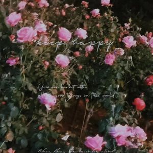 我们有太多凑巧，却唯独缺个正好。