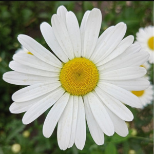 Ты называешь меня Локи