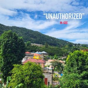 UNAUTHORIZED