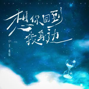 想你回到我身边