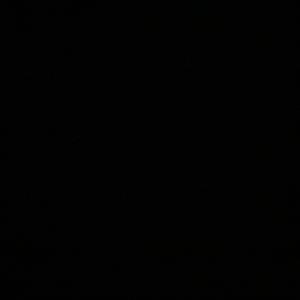 Duck, Duck, Ghost (feat. TOP DEMON)