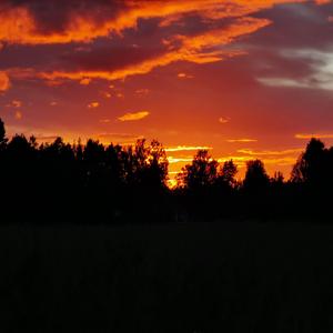 lågan