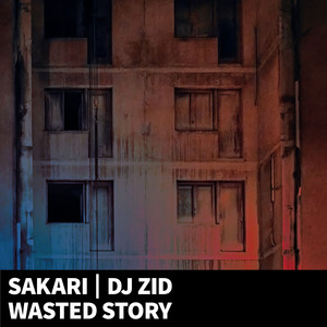 Wasted Story