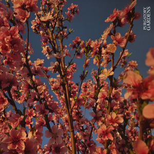 Savanna (Rythm Remastered)